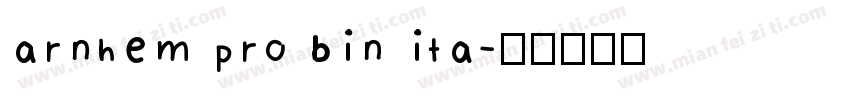 arnhem pro bin ita字体转换